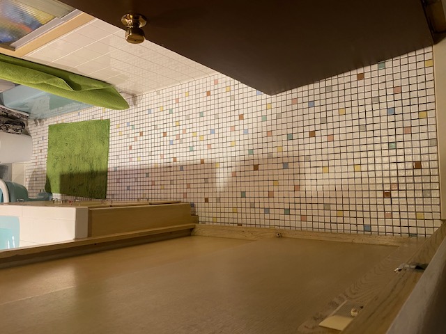 Paisner bathroom before renovation